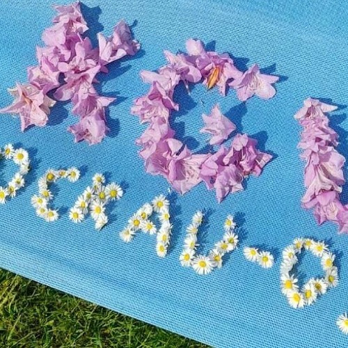 Mitgliederversammlung erfolgreich durchgeführt